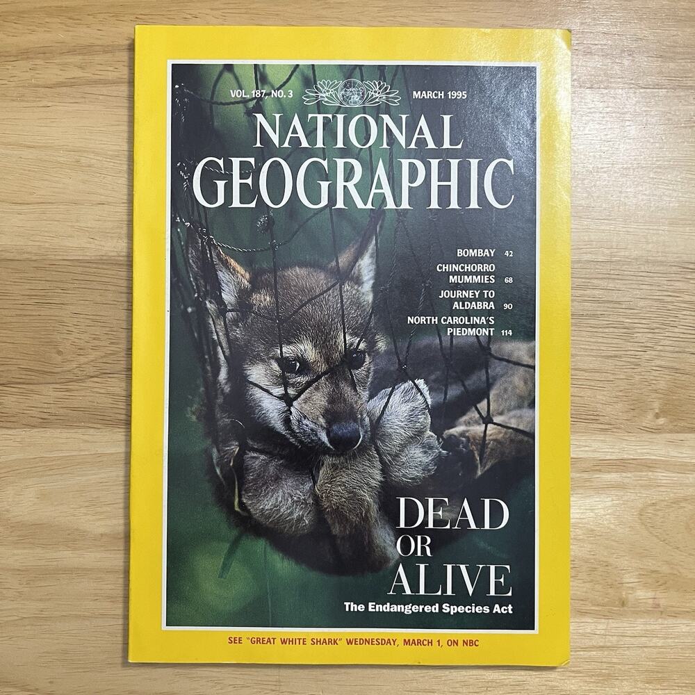Vintage National Geographic March 1995 Bombay Mummies Aldabra Piedmont Animals